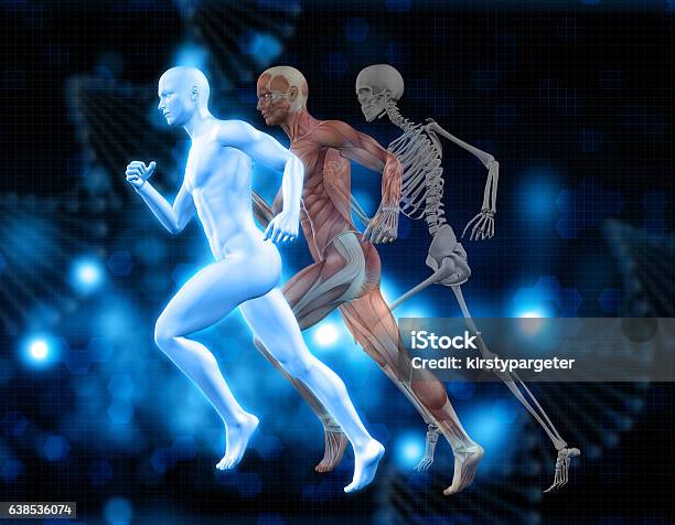 3d Medical Background With Male Figure In Running Pose Stock Photo - Download Image Now
