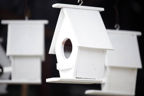 istock white wooden bird house as background. 638536502