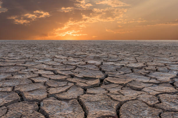 istock Soil drought cracked landscape and sunset background 638543376