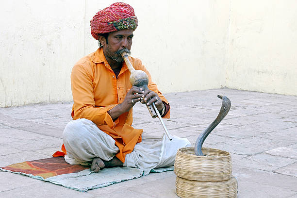 Indian Snake-charmer. - fotografia de stock