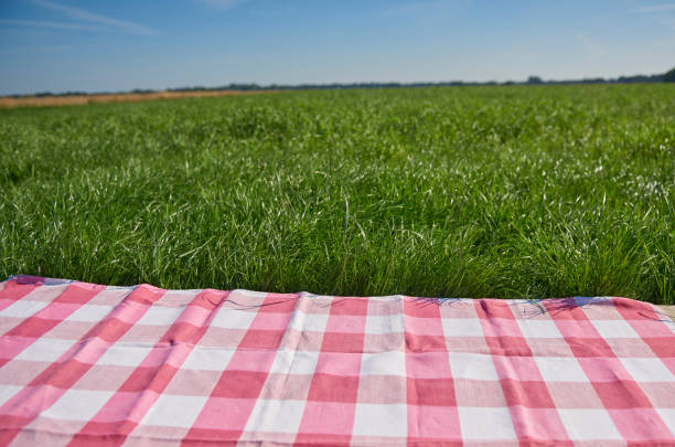 istock red and white checkered blanket on loan 638546402