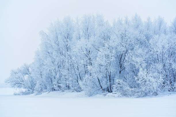 istock Winter landscape with snow-covered trees 638551658
