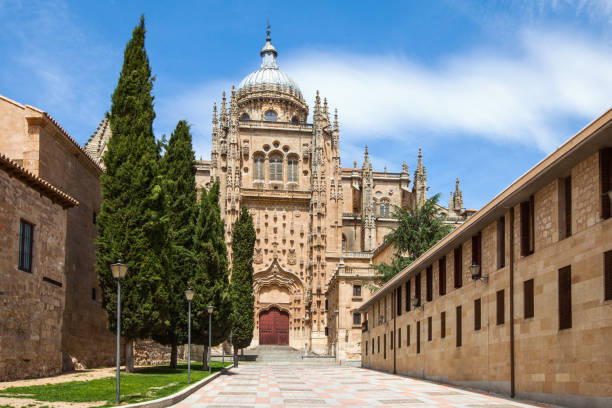 istock Cathedral of Salamanca 638552332