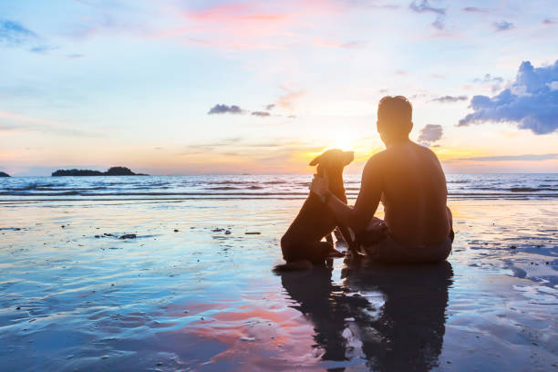 concetto di amicizia, uomo e cane seduti insieme sulla spiaggia - cane al mare foto e immagini stock