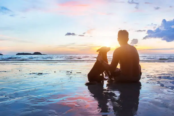 Photo of friendship concept, man and dog sitting together on the beach