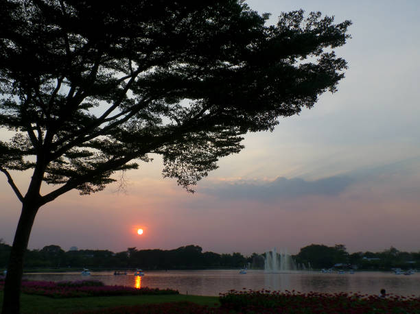istock The sun setting over the lake with trees' silhouette 638555118