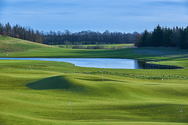 paysage avec terrain de golf, danemark - standing water grass area meadow lawn photos et images de collection