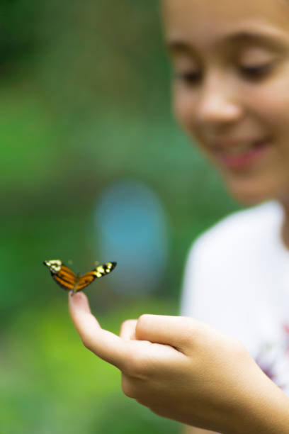 istock Happy Girl Holding a Butterfly 638561062