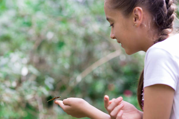 istock Happy Girl Holding a Butterfly 638561348