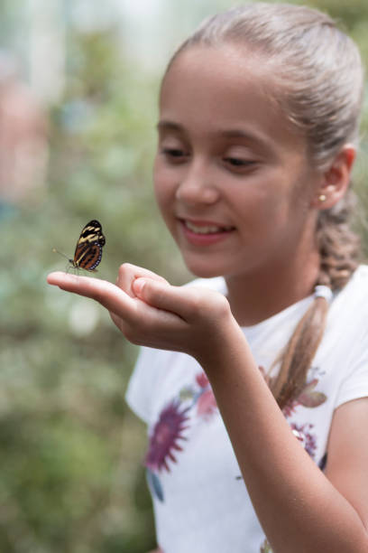 istock Happy Girl Holding a Butterfly 638561480