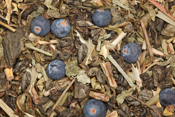 Grüner Tee mit Wacholderbeere – Foto