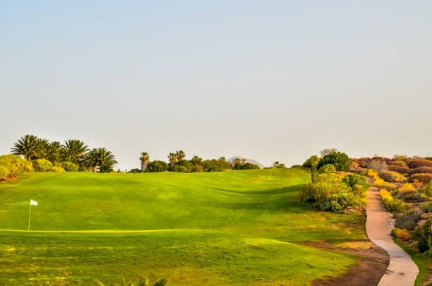 istock Golf Green Grass Fiel 638563116