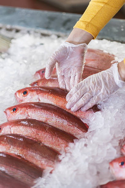 istock Fresh fish, red snapper, for sale in seafood store 638566098