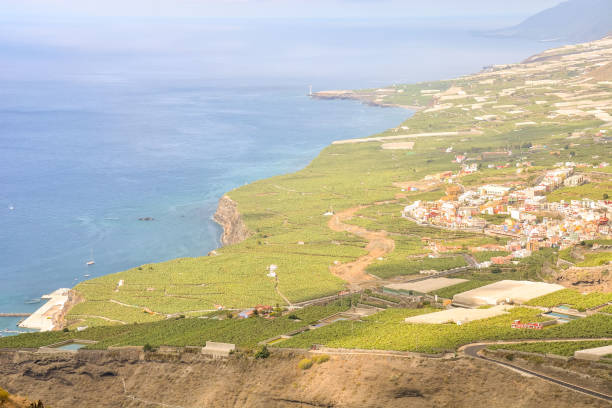 istock Valley in the Canary Islands 638567464