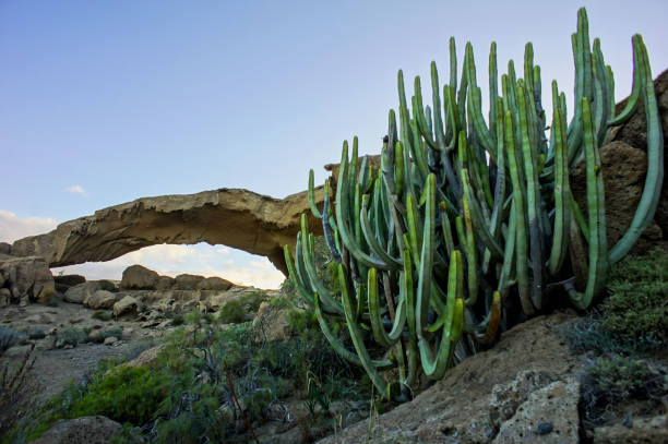 istock Natural Arch in the Desert 638567582