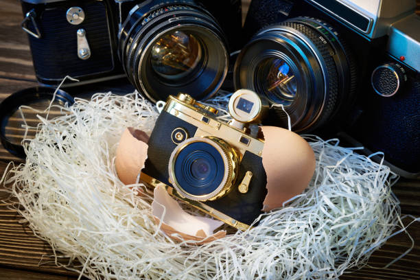 istock SLR cameras and compact as parents and baby in nest 638568302