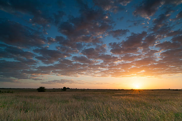 início do nascer do sol do verão, nuvens, grama, oklahoma - oklahoma - fotografias e filmes do acervo