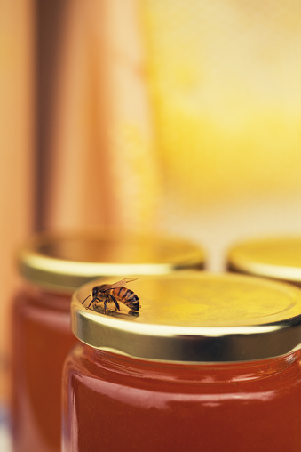A bee sits on a jar of fresh organic honey.