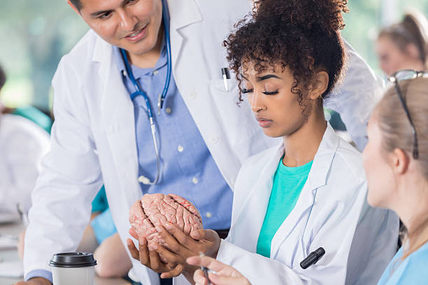 istock African American pre-med students studies human brain model 638573900