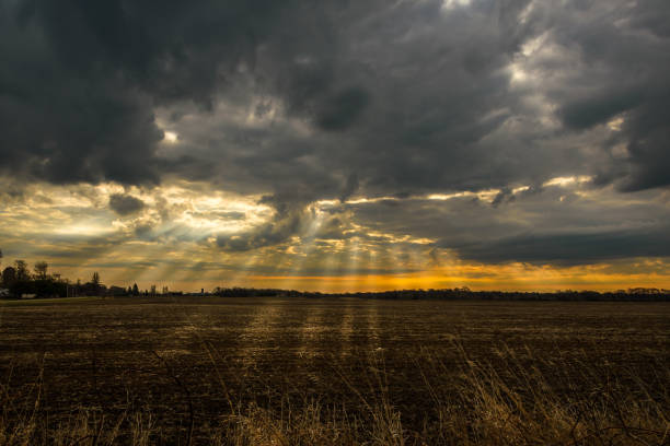 Sunrise over a farmers field with multiple sunbeams highlighting the field.  There is a very dramatic sky.