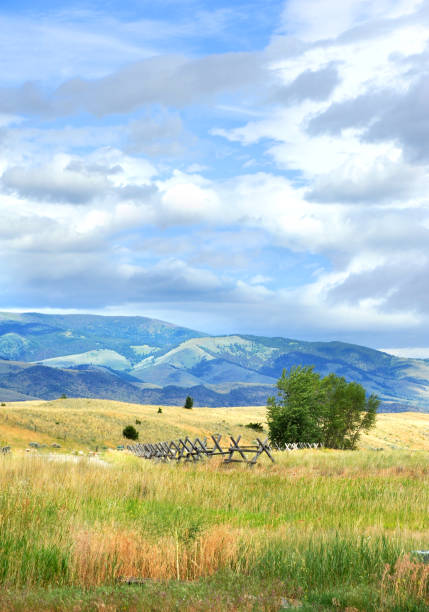 луг в счастливой долине - absaroka range стоковые фото и изображения