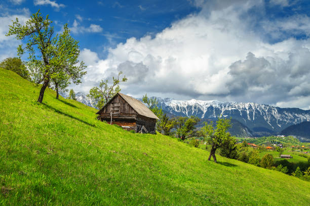 frühling alpine landschaft bei brasov, siebenbürgen, rumänien, europa - mountain range carpathian mountain range mountain ridge stock-fotos und bilder