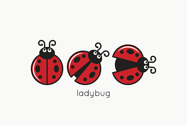 illustrazioni stock, clip art, cartoni animati e icone di tendenza di logo ladybug impostato su sfondo di design bianco - ladybug