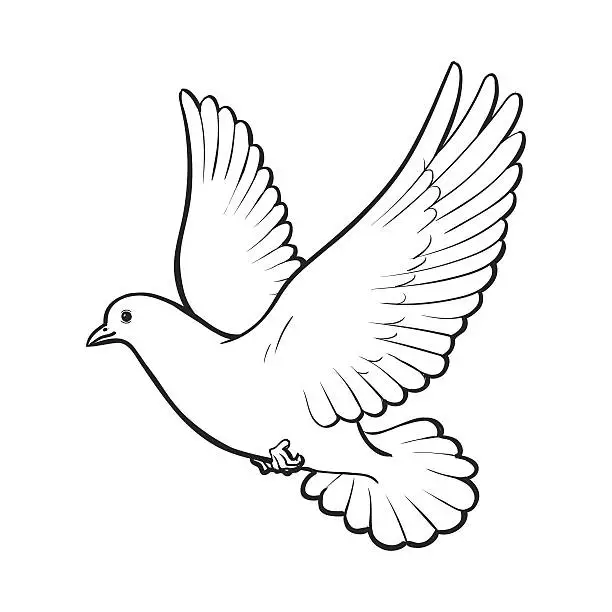 Vector illustration of Free flying white dove, isolated sketch style illustration