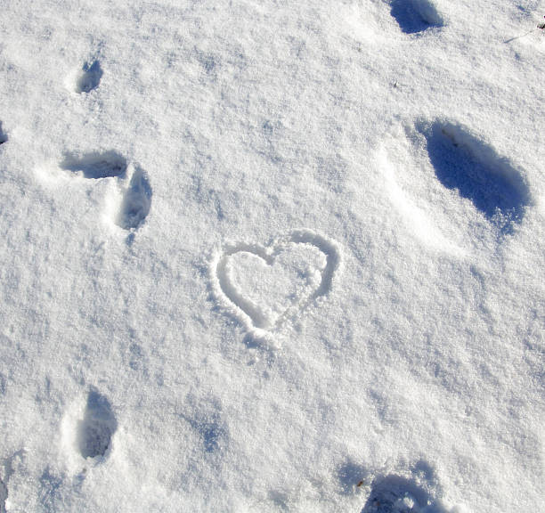 istock heart shape on a background of fresh snow texture 638578282