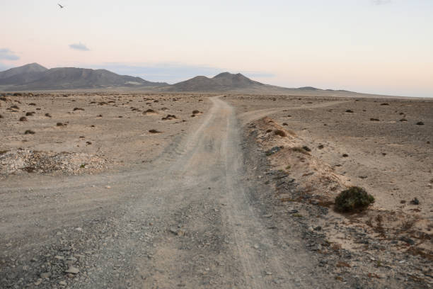 istock Countryside Desert Dirt Road 638579260