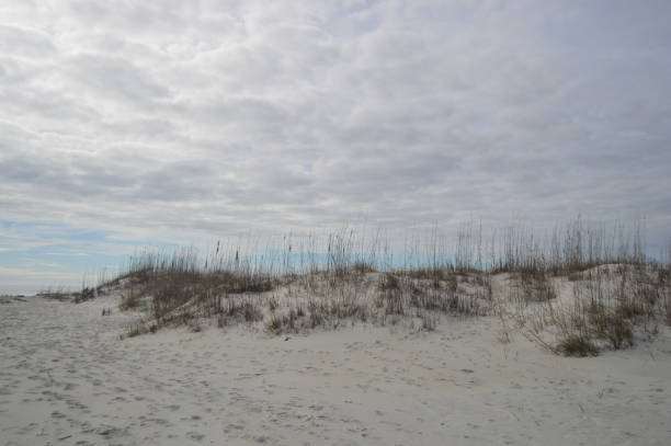 istock Gould's Inlet Sand Dunes 638580606