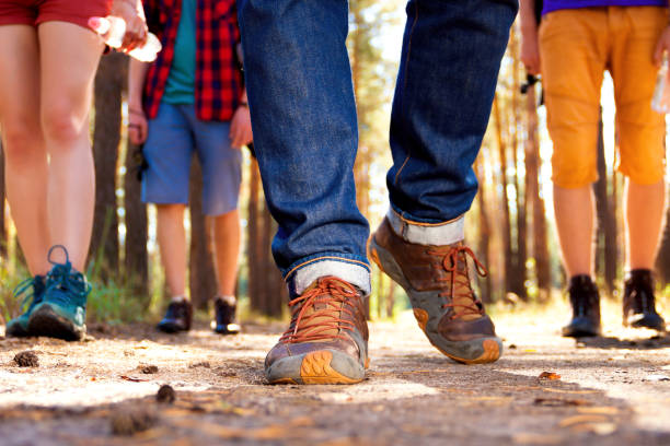 istock Young tourists in the woods 638581198