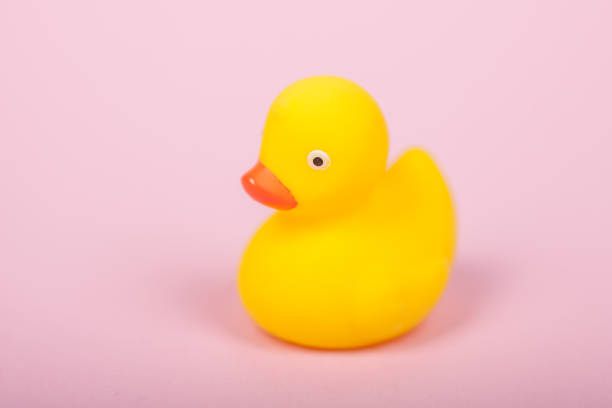 istock Cute yellow rubber duck on pink background 638583866