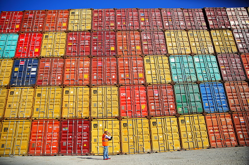 Commercial docks worker examining containers.