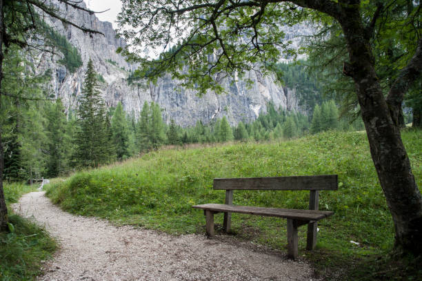 istock Italian mountain trail and bench 638587060