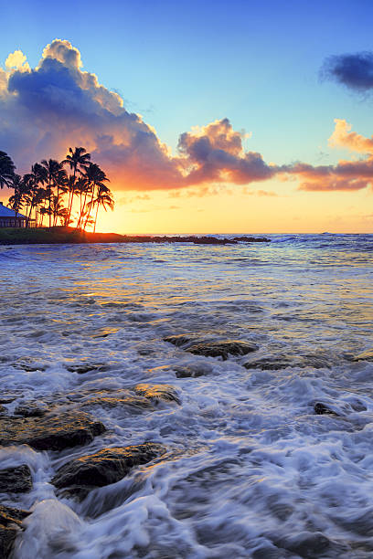 istock Sunrise behind palm trees in Kauai, Hawaii 638587130