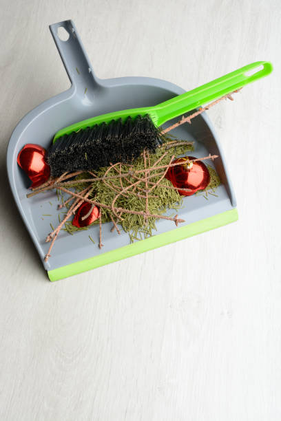 istock Scoop with a brush, dry twigs and broken ball 638588422