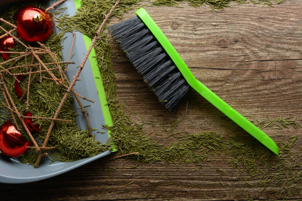 istock Scoop with a brush, dry twigs and broken ball 638589170