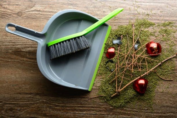 istock Scoop with a brush, dry twigs and broken ball 638589266