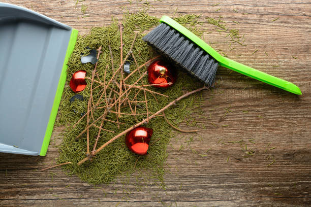 istock Scoop with a brush, dry twigs and broken ball 638589652