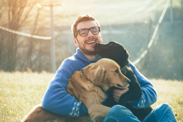 young man having a fun with dogs in the nature - dierendag stockfoto's en -beelden