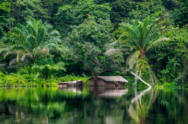 cabane sur la rive du fleuve congo - zone équatoriale photos et images de collection