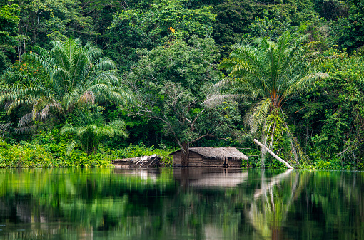 Congolese house at the shoreline of Congo river.  Equateur province, Democratic Republic of Congo, Africa