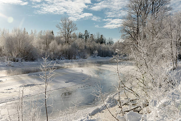 istock Snowed and Frosted White Winter Day 638592700