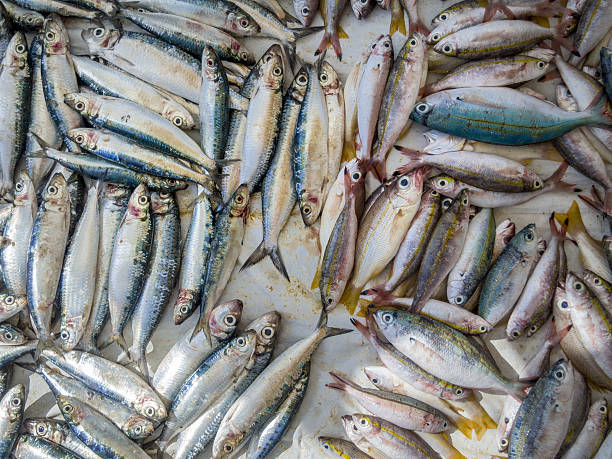 High Angle View Of Fresh Fish For Sale At Market