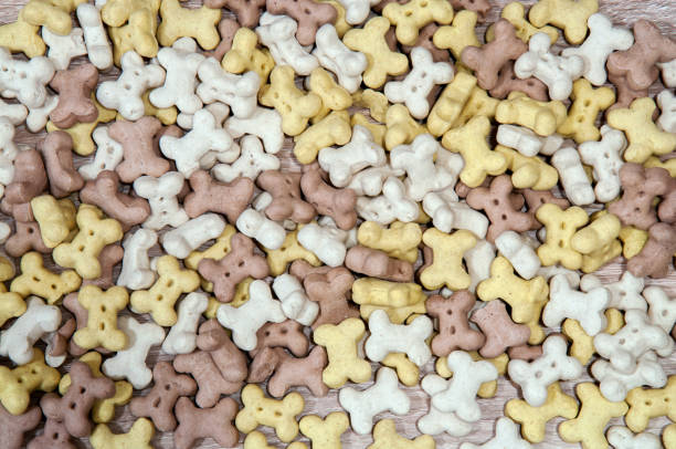istock Pet food, dog bones 638594192