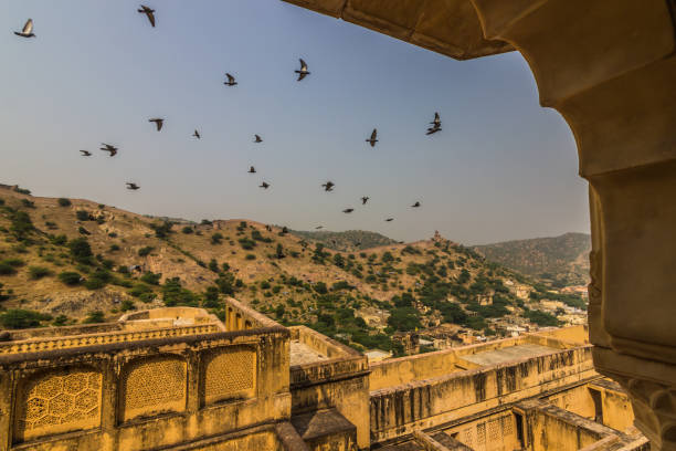 istock November 04, 2014: Birds in the Amber Fort in Jaipur, 638594608