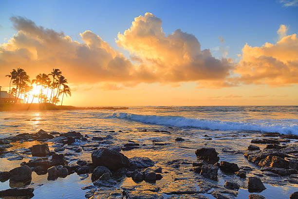 istock Sunrise behind palm trees in Kauai, Hawaii 638598092