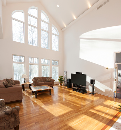 Spacious bright family room with cathedral ceiling and wall of windows.