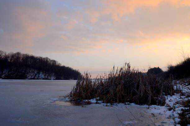 The icebound and the  frozen lake  is very idyllic scenery in the winter at the sunset. In the  focus  is the cattail in  the sunset with  the  beautiful background  outdoors  in the lake. Small  lake under the ice is  fascinating in the winter. The icebound lake and the cattail is very idyllic. Sky  is beautiful colorful.  Shot  with camera  Nikon D5100, ISO 160.